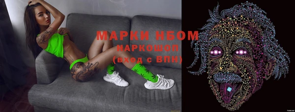 стафф Аркадак