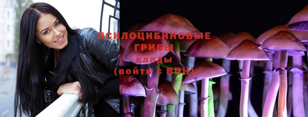 синтетический гашиш Алексин