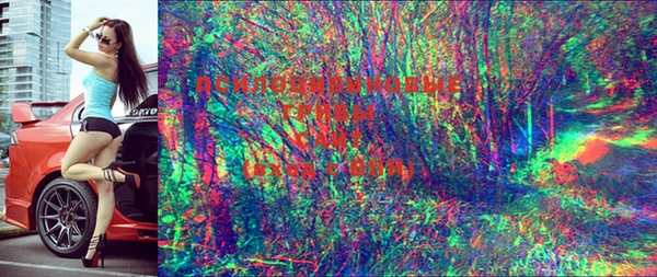 стафф Аркадак