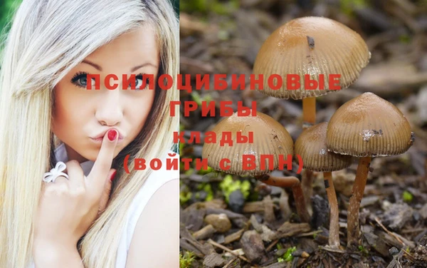 каннабис Арсеньев